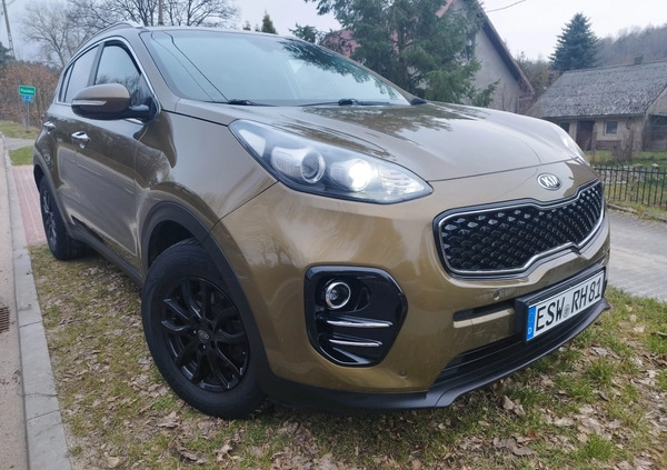 Kia Sportage cena 58000 przebieg: 113200, rok produkcji 2017 z Miastko małe 497